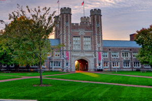 How Curiosity Can Lead You to A Degree at WashU’s University College
